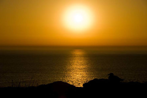 Sol
